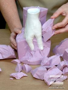 לחיצה להגדלת תמונה קלף בעדינות את האלגינאט מהגבס