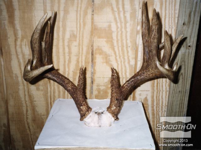 ראשית, מדביקים את מודל הקרניים המקוריי ללוח בסיס ומרססים בשכבה נדיבה של ספריי אקריליק שקוף.