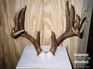 לחיצה להגדלת תמונה ראשית, מדביקים את מודל הקרניים המקוריי ללוח בסיס ומרססים בשכבה נדיבה של ספריי אקריליק שקוף.