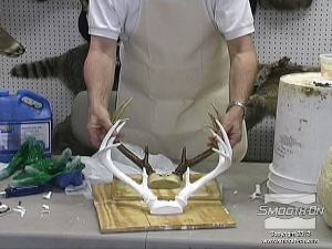 לחיצה להגדלת תמונה יציקת הפוליאוריטן הקשיחה מSmooth-Cast 300 היא העתק מושלם של הקרניים המקוריות.