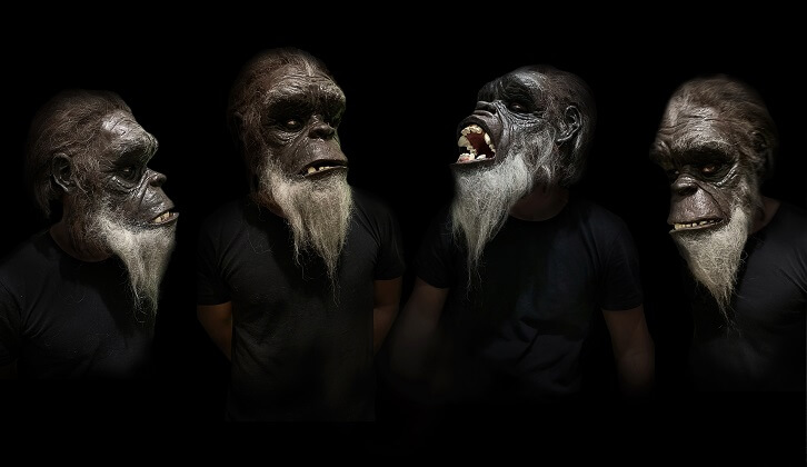 דיוקן קוף מרשים בהשארת הסרט 