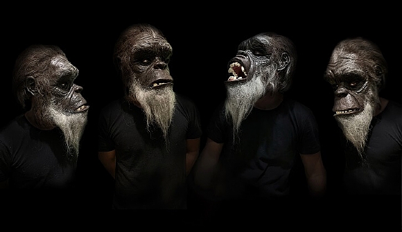 לחיצה להגדלת תמונה דיוקן קוף מרשים בהשארת הסרט 