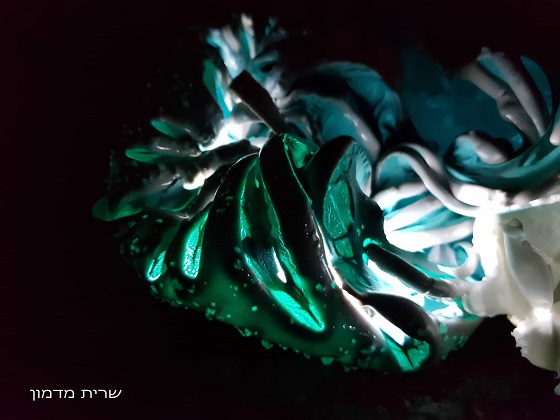 לחיצה להגדלת תמונה גופי תאורה מופשטים בהשראת המצולות וחיות הים (פרויקט 