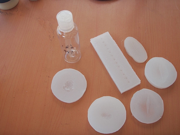 לחיצה להגדלת תמונה עבודות איפור מיוחדות פרי ידיה של רינת אלוני