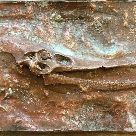 יצירת גולגולת של פטרוזאור מאובן (הדגם הראשוני הודפס בתלת מימד)