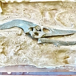 תהליך ההכנה