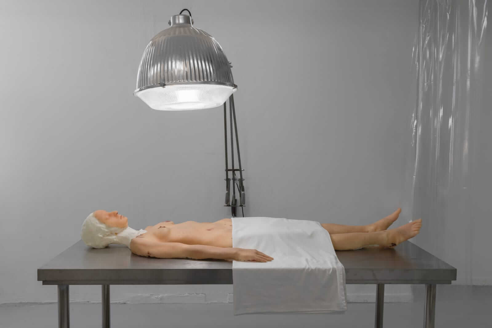 טליה פרי: יצירה במסגרת פרוייקט גמר בבצלאל - POSTMORTEM