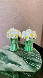 נרות מעוצבים בצורת חיות, פרחים ולחגים שונים