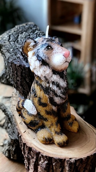 לחיצה להגדלת תמונה נרות מעוצבים בצורת חיות, פרחים ולחגים שונים