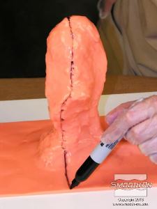 לחיצה להגדלת תמונה בעזרת טוש, מסמנים קו הפרדה לאורך הנקודות הגבוהות במודל, כך שיתקבלו שני חצאים.