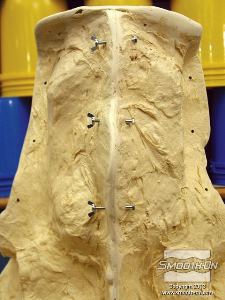 לחיצה להגדלת תמונה מעיל התמיכה מוכן לנעילה.