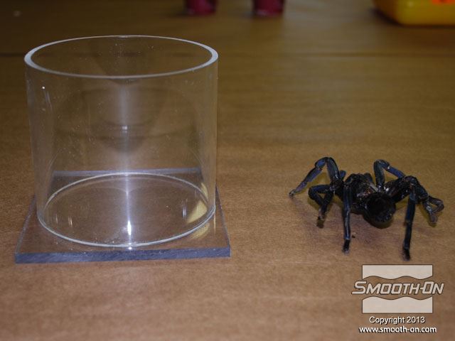 מכינים מיכל מצינור ובסיס אקריליק, מעט גדול יותר מעכבש הטרנטולה המיובש.