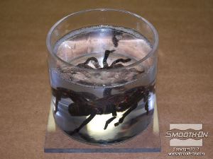 לחיצה להגדלת תמונה בועות אוויר שנלכדו בסיליקון ישתחררו לאחר מספר דקות. מניחים ל סיליקון שקוף כמו מים Encapso® K להתמצק במשך הלילה.