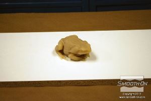 לחיצה להגדלת תמונה מניחים את מודל הצפרדע על לוח המלאמין.