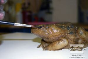 לחיצה להגדלת תמונה לבסוף, צובעים את העיניים בעזרת אותה תערובת של פוליאוריתן Brush On 40 בעזרת מברשת.