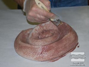 לחיצה להגדלת תמונה מכסים בצבע את כל המשטח. סיליקון לצביעה על סיליקון - Psycho Paint המדולל הוא מאוד אפקטיבי ואין צורך להשתמש בהרבה ממנו. 