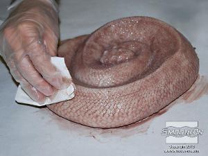 לחיצה להגדלת תמונה מסירים עודף צבע ע