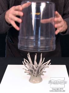 לחיצה להגדלת תמונה מקיפים את המודל במסגרת לתבנית במרחק של לפחות 1.5 מכל צידי המודל.