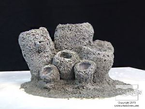 לחיצה להגדלת תמונה מתחילים עם מודל מקורי קיים. במקרה זה, המודל המקורי נקנה בחנות חיות מקומית.