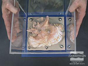 לחיצה להגדלת תמונה סוגרים את מסגרת התבנית על מיטת החימר והמודל.