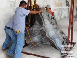 לחיצה להגדלת תמונה מכינים את שורש העץ למריחת התבנית, מנקים, חותכים עודפים ומשייפים. מתכננים את חלוקת המודל לחלקים.  